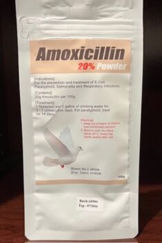 Amoxicillin Powder.