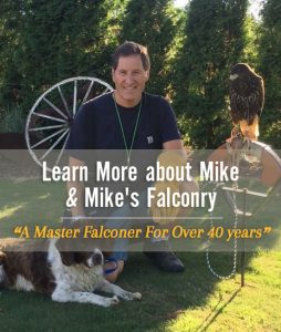Learn More about Mike & Mike's Falconry