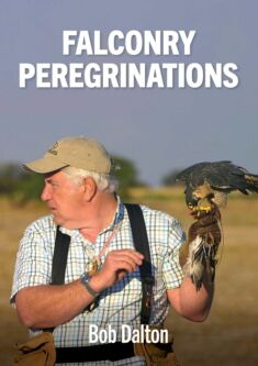 Falconry Peregrination - By Bob Dalton