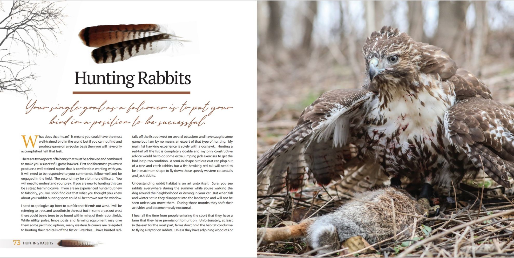 A Journey With Red tails by Bob Glass, a must have book for new Apprentices. - Image 2